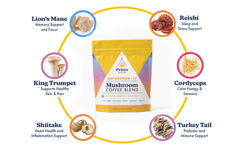 Organic Prism Potion Day Spectrum v1.0 Mushroom Coffee Blend