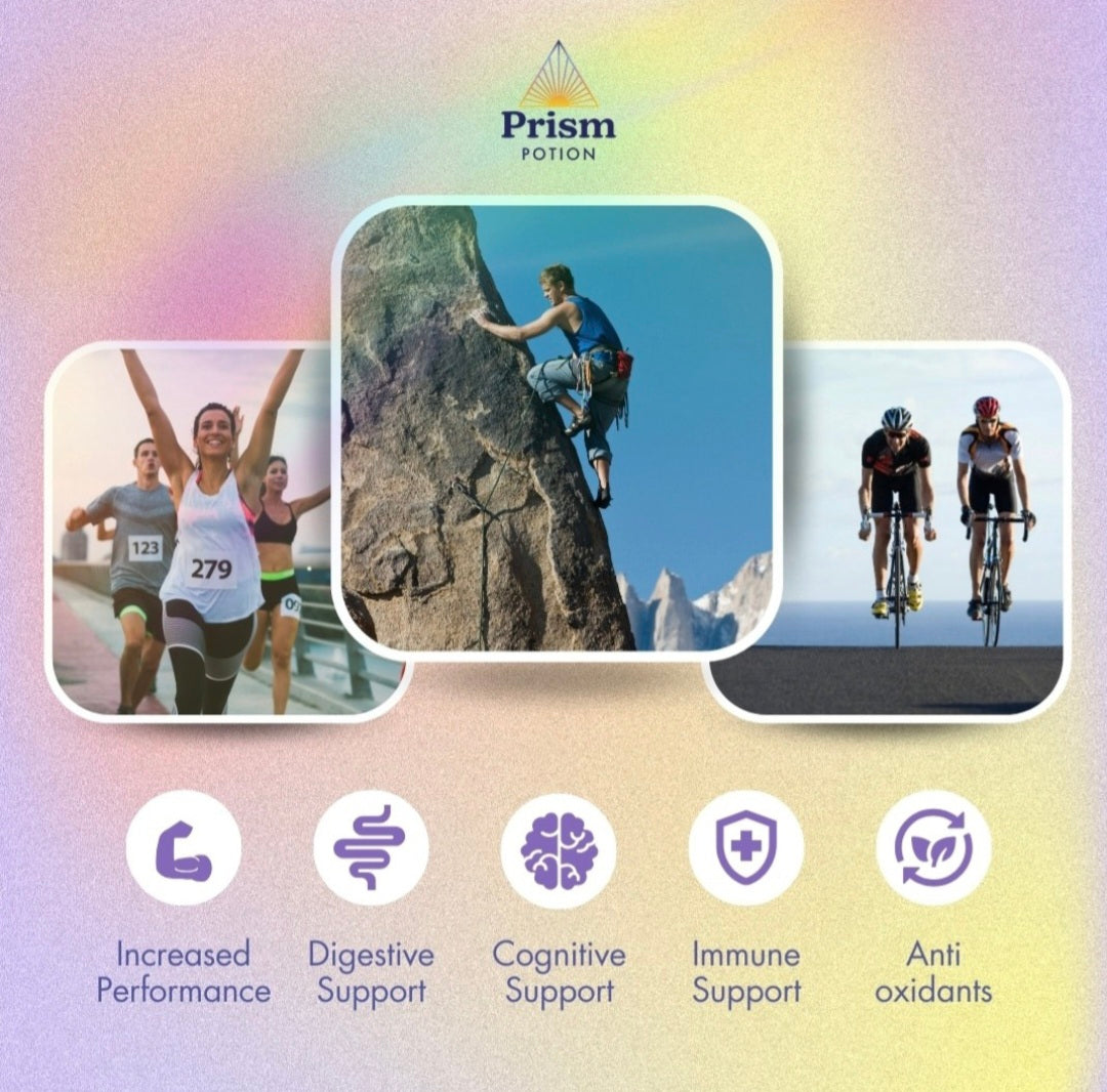 Organic Prism Potion Day Spectrum v1.0 Mushroom Coffee Blend